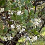 La mejor época para observar la flora en los senderos de El Salvador