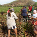 Senderos fáciles en El Salvador: descubre la naturaleza sin dificultad