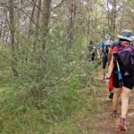 Explorando la longitud promedio de senderos en El Salvador